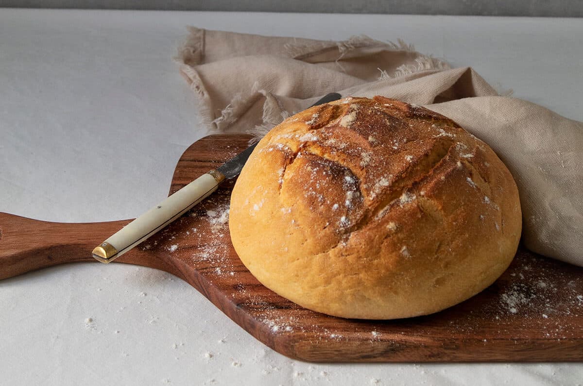 Pan rápido en bolsa de asar